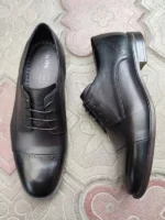 чоловічі дербі 569-I