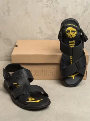 мужские сандалии T-010