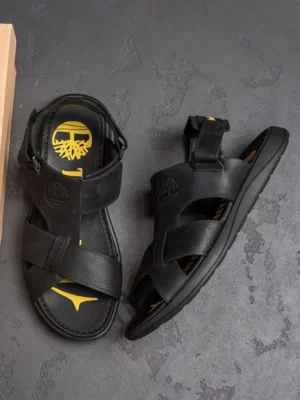 мужские сандалии T-010