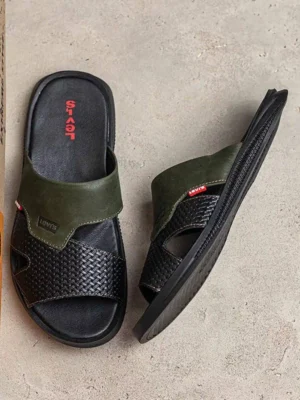 мужские шлепанцы L-73